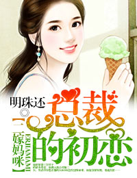 二嫁妈咪,总裁的初恋