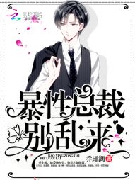 暴性总裁,别乱来!