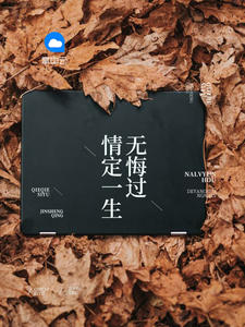 一胎俩宝,老婆大人别想逃(沈蔓歌叶南弦)