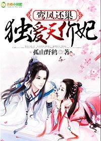 鸾凤还巢,独爱天价妃!