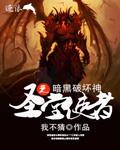 暗黑破坏神之圣堂使者